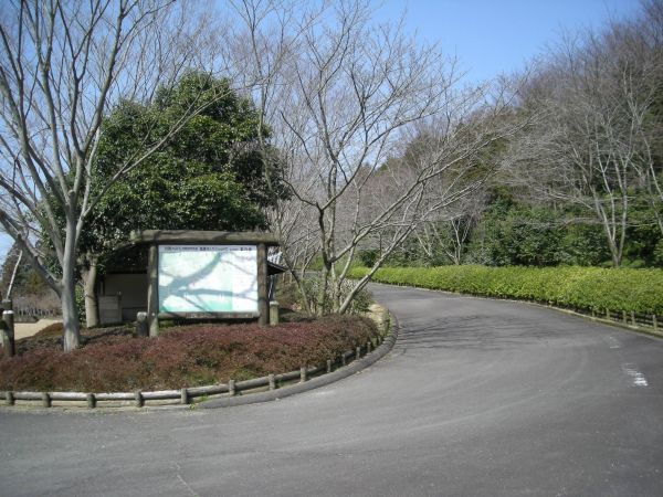 k06_21.jpg