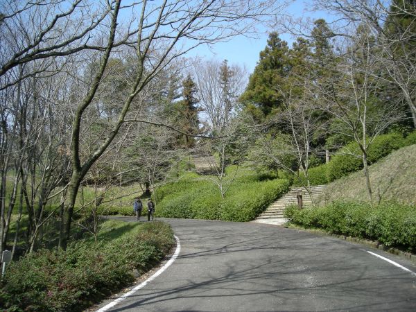 k06_22.jpg