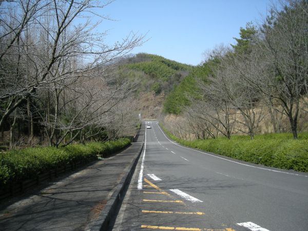 k06_26.jpg