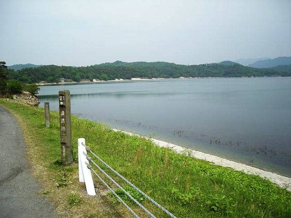 k06_31.jpg