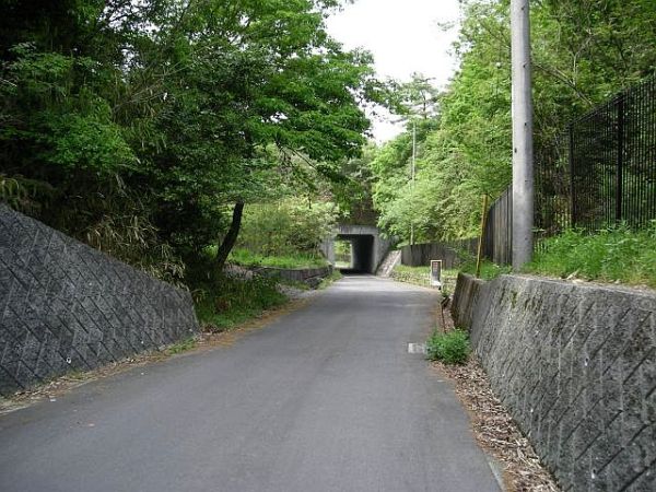 k06_35_7.jpg
