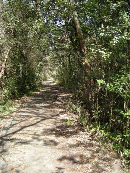 k06_45.jpg