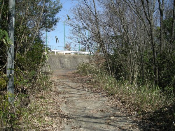k06_46.jpg
