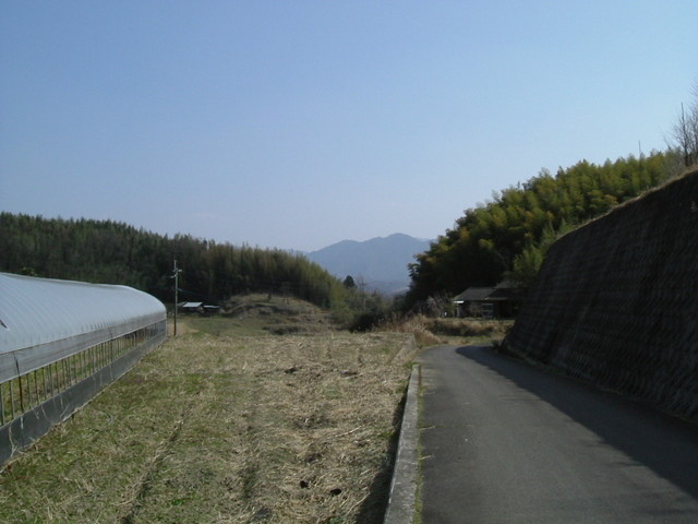 k09_80.jpg