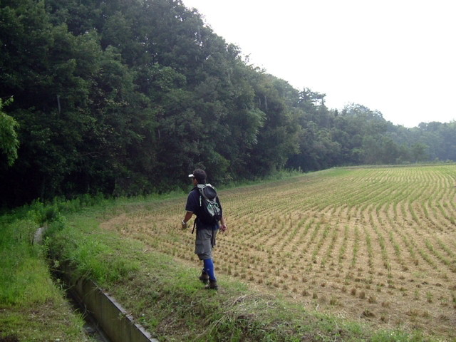 k10_116.jpg