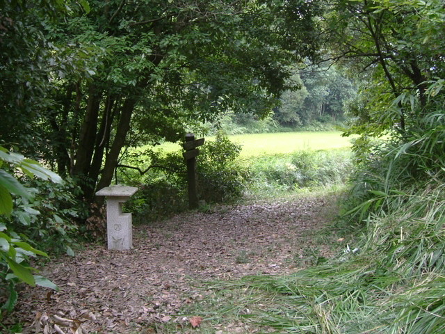 k10_134.jpg