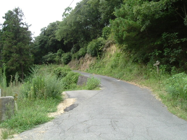 k10_158.jpg