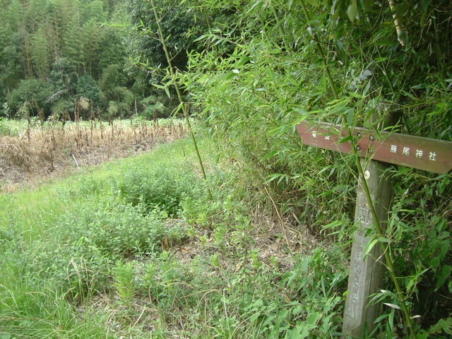 k10_185.jpg