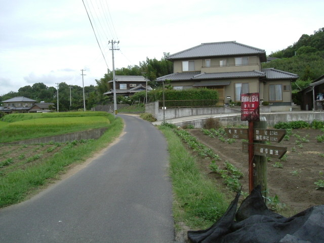 k10_222.jpg