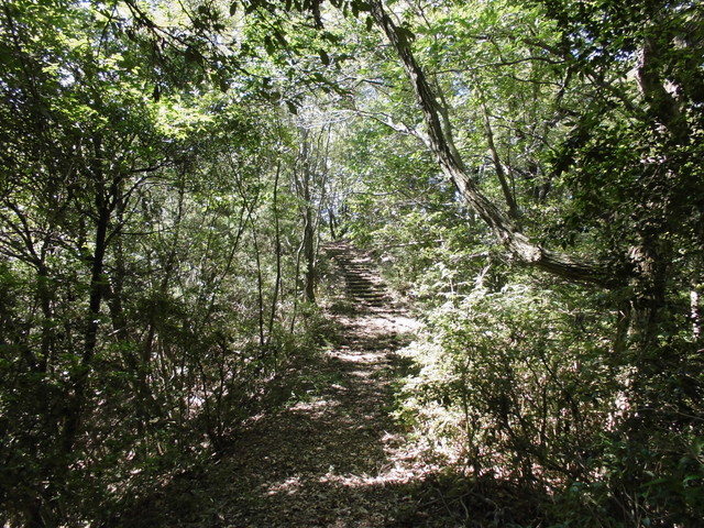 k11_53.jpg
