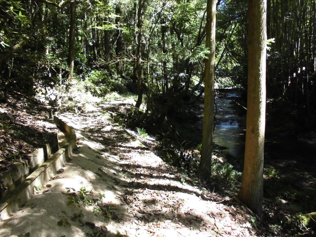 k12_018.jpg