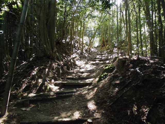 k12_050.jpg