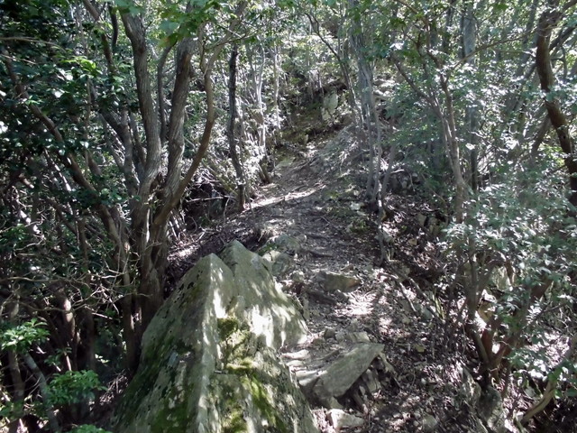 k12_088.jpg