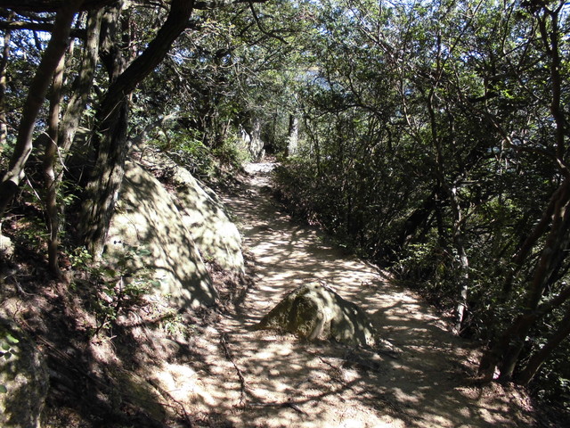 k12_107.jpg