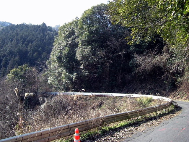 k13_38.jpg