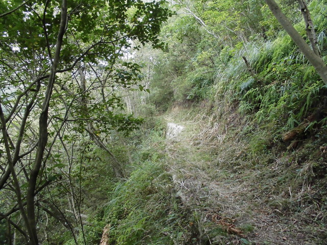 k14_20.jpg
