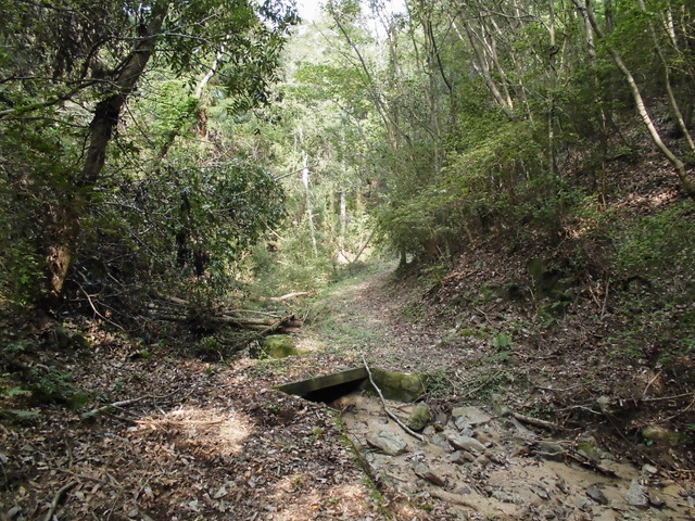 k14_28.jpg
