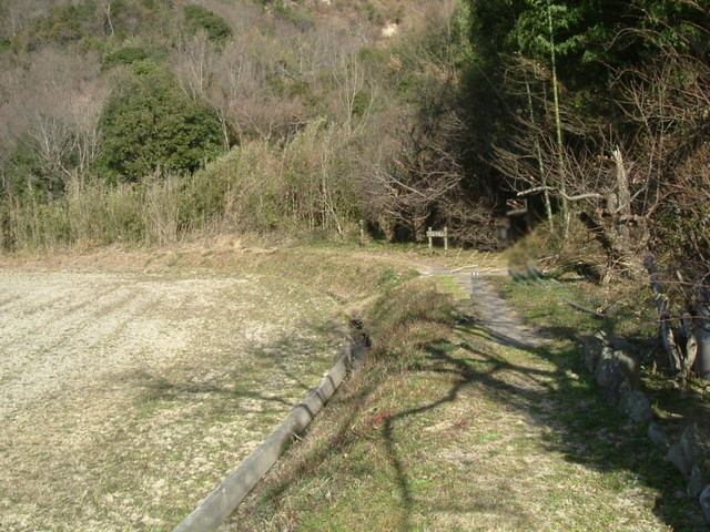 k15_47.jpg