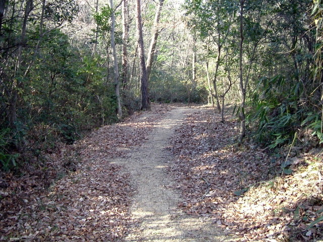 k15_50.jpg