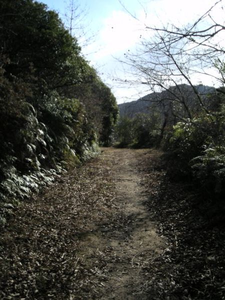 k16_45.jpg