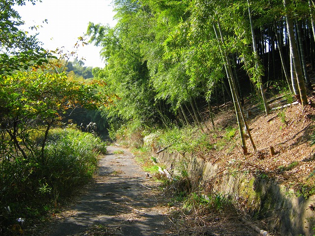 k18_055.jpg