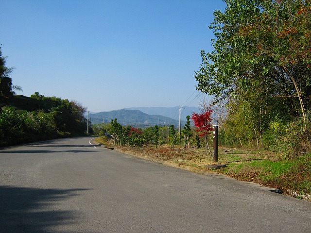 k18_095.jpg