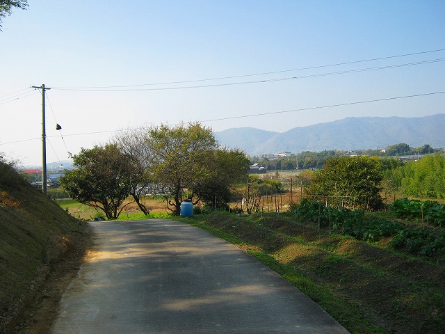 k19_31.jpg