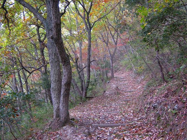 k20_045.jpg