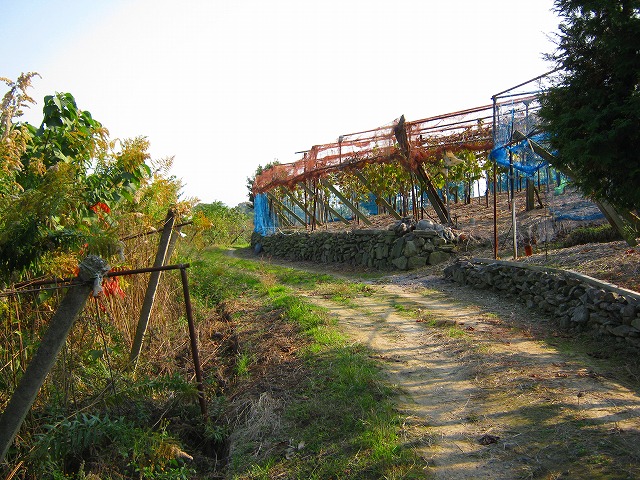 k20_080.jpg