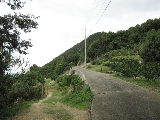 k21_027.jpg
