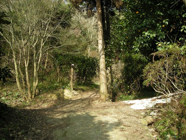 k23_18.jpg