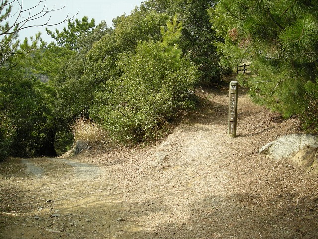 k24_41.jpg