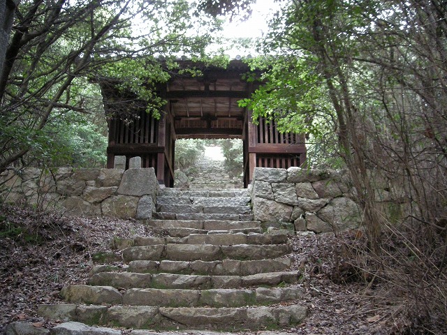 k24_55.jpg
