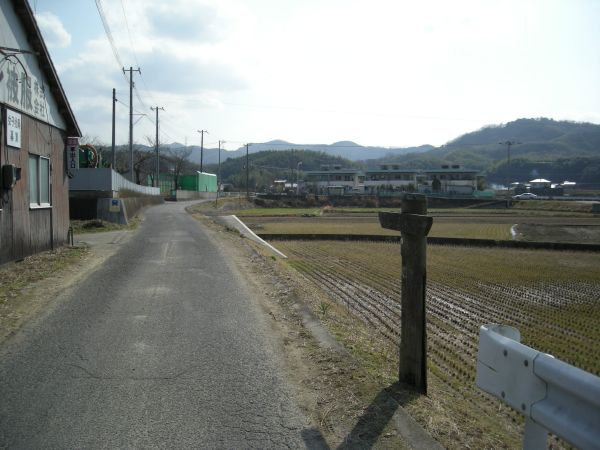 k25_30.jpg