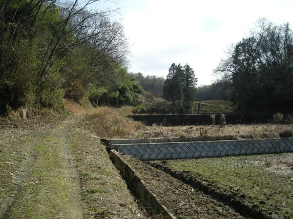 k25_37.jpg