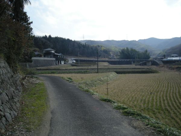 k25_43.jpg