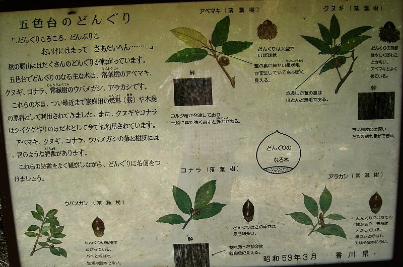 k28_130.jpg